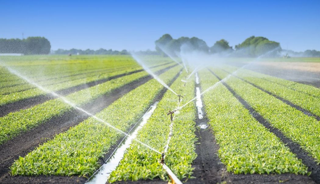 Fonduri de investiţii, agricultură, deficit bugetar. INFO economic - 1-1748427272.jpg