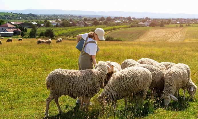 Piaţa de bunuri de larg consum, agricultură, cost orar al forţei de muncă. INFO economic - 1-1749110081.jpg