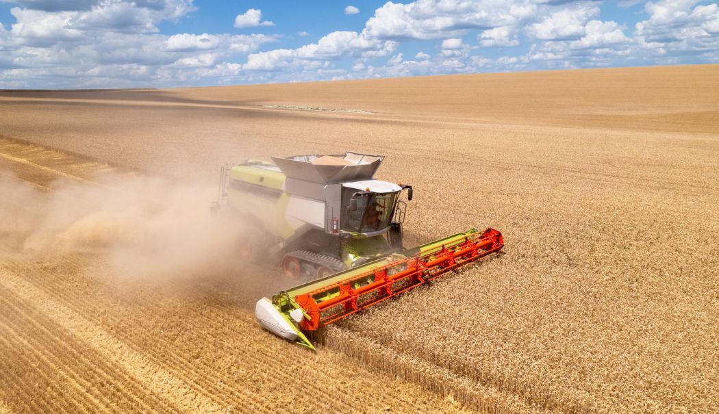 Preţ producţie, agricultură, transport feroviar. INFO economic - 1-1753696834.jpg