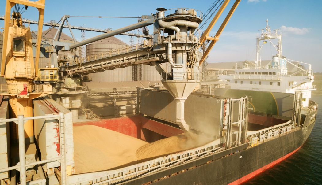 Energie, export de cereale, industria hârtiei. INFO economic - 1-1753863604.jpg
