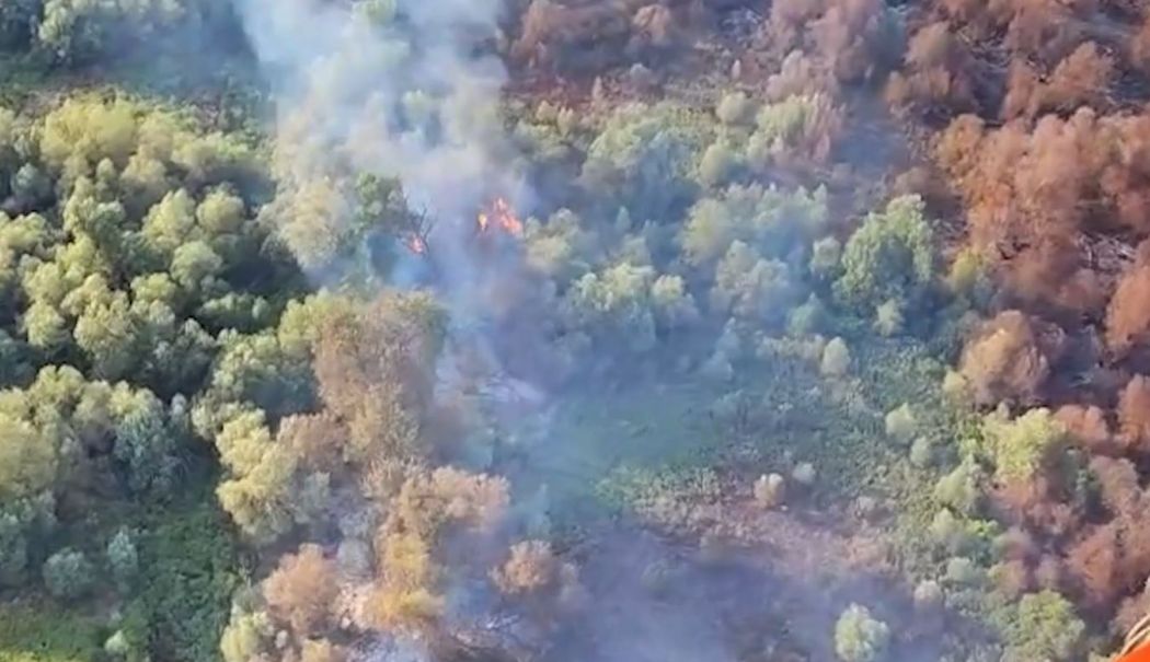 Incendiu de proporții în Delta Dunării! A intervenit un elicopter Black Hawk - 1-1754400873.jpg