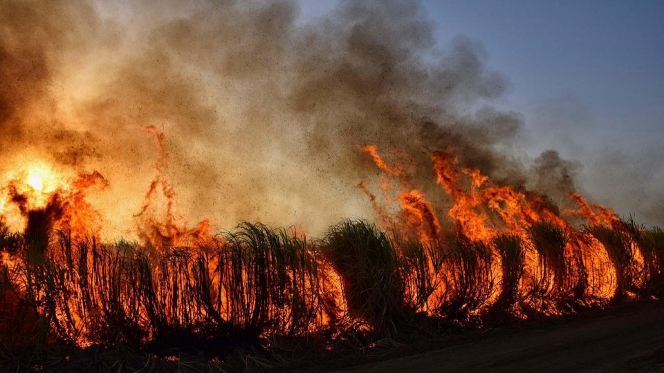 Un român și-a pierdut viața într-un incendiu devastator de vegetație, în Spania - 1-1755002224.jpg