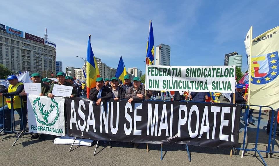 Silvicultorii protestează în faţa Ministerului Mediului. „Pădurile statului sunt în mare pericol!” - 1-1755679432.jpg