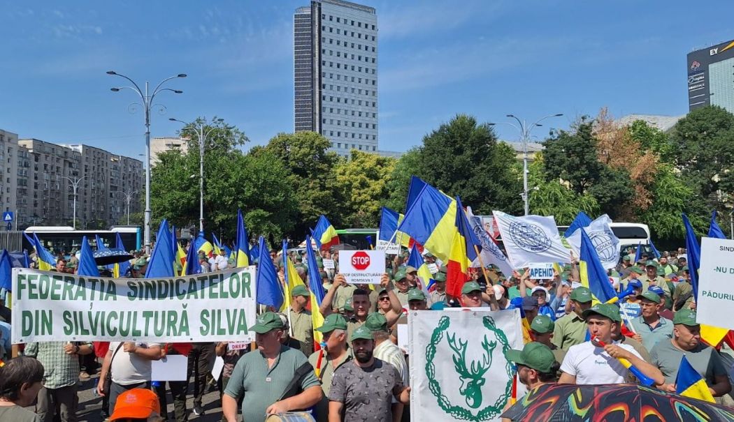 Se termină cu şmecheriile şi privilegiile! „Romsilva nu este vacă de muls pentru nimeni!” - 1-1755697189.jpg