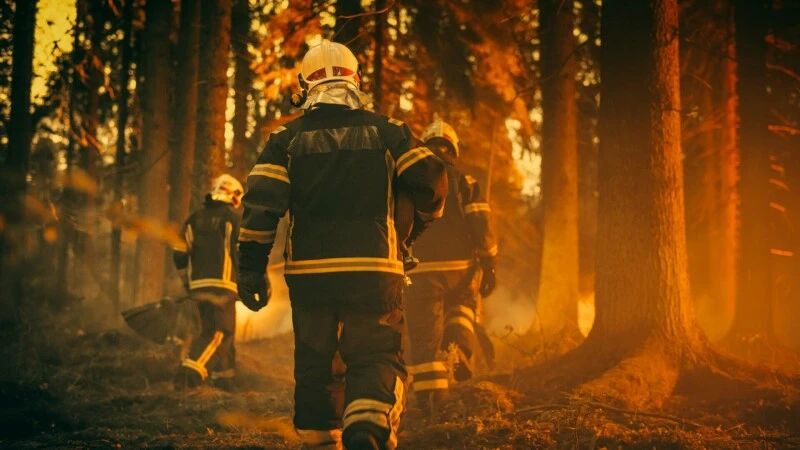România trimite pompieri în Spania pentru a sprijini stingerea incendiilor de pădure - 1-1755706000.jpg
