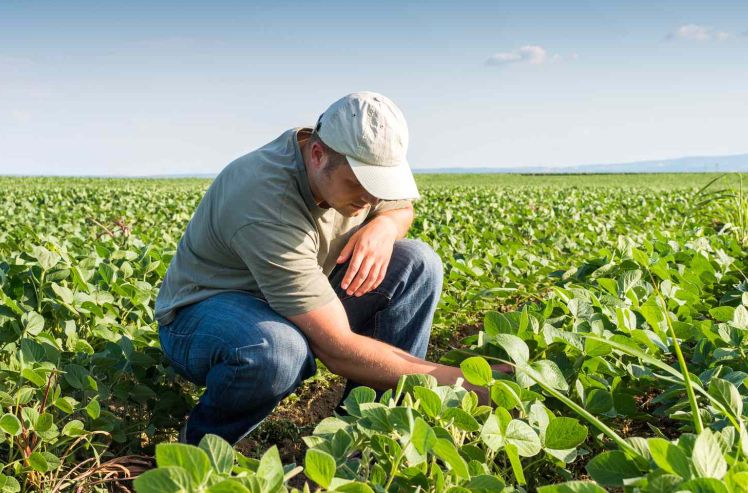 Finanţe, agricultură, turism. INFO economic - 1-1757239929.jpg