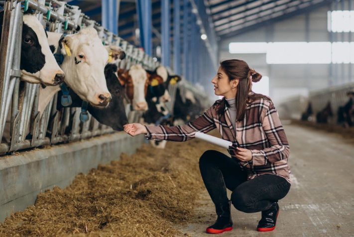 Inflaţie, agricultură, construcţii. INFO economic - 1-1758541146.jpg