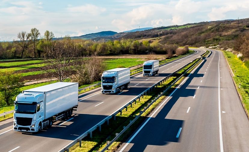 Banking, transporturi, servicii de piaţă. INFO economic - 1-1758885142.jpg