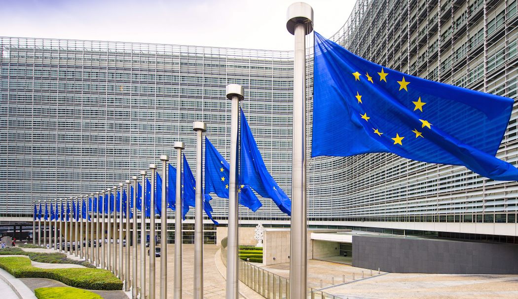 Curtea Constituţională a Republicii Moldova a validat alegerile parlamentare din 28 septembrie - 1-1760684353.jpg