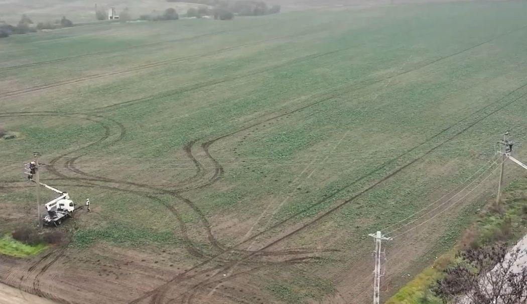 Rute de migrație mai sigure pentru păsări, în Delta Dunării - 1-1761058313.jpg