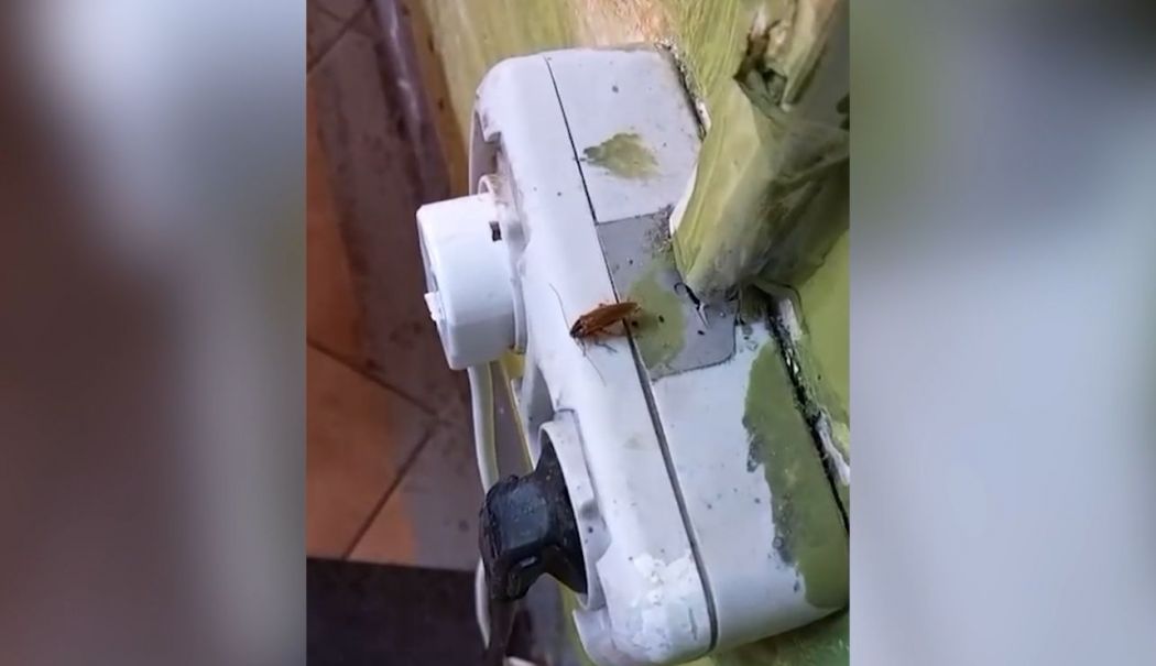 Inspectorii CJPC au tras obloanele unui magazin insalubru din Constanța - 1-1761753106.jpg