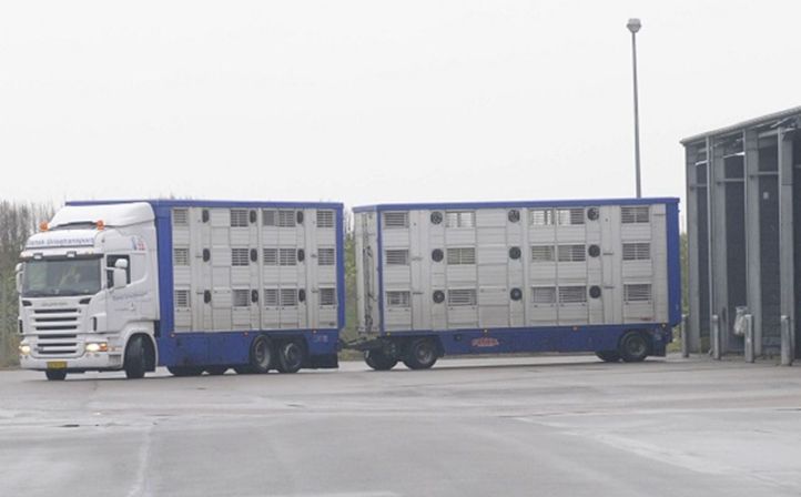 Finanțe, comerț, întreprinderi. INFO economic - 1-1764236395.jpg