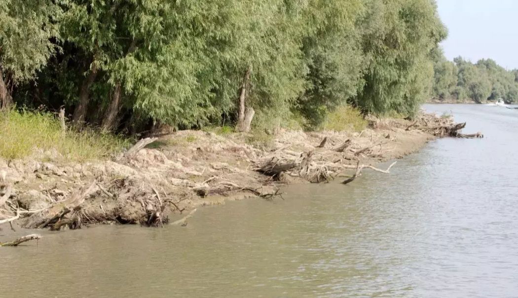 Doi bărbați, amendați după ce au făcut o parcare ilegală chiar în albia unui râu - 1-1765389047.jpg
