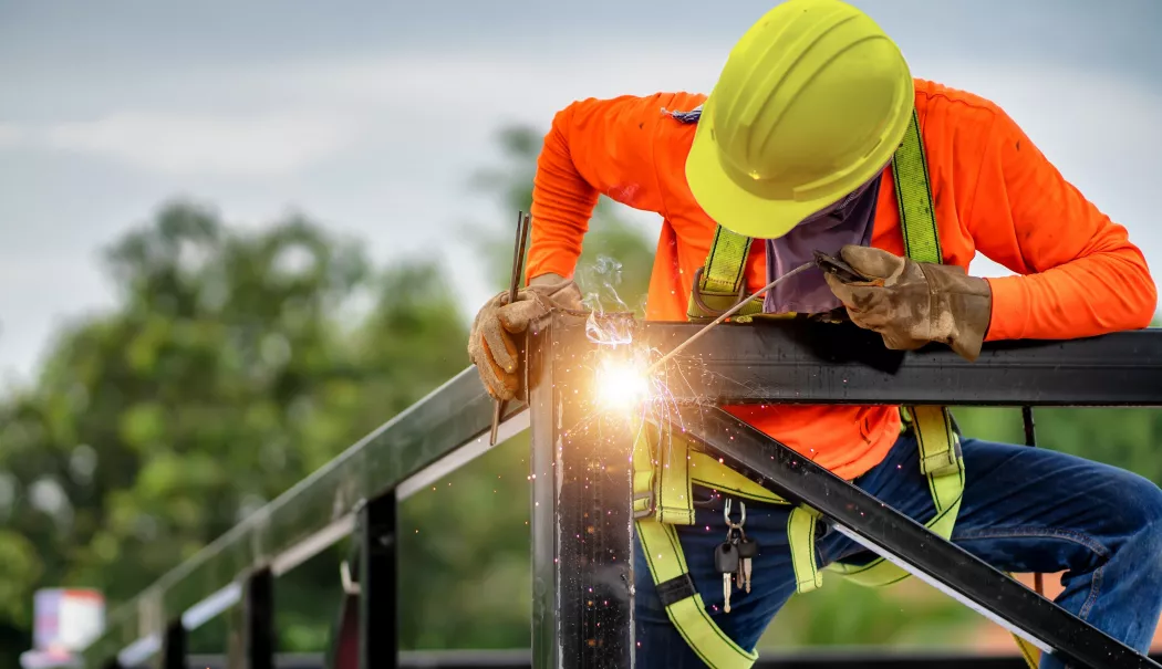 Bursă, construcții, industrie prelucrătoare. INFO economic - 1-1766058447.webp