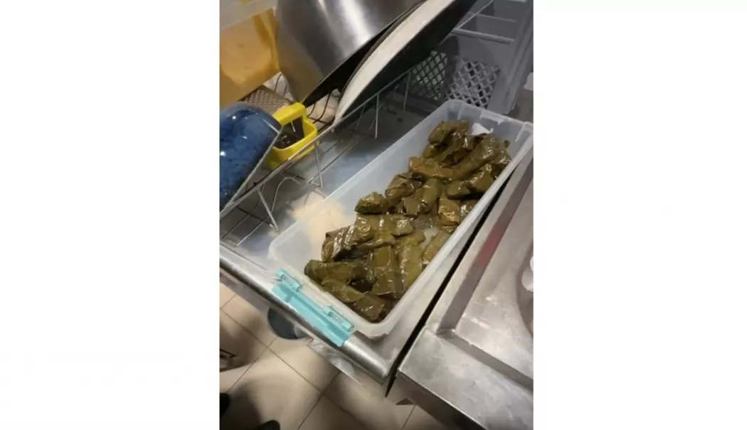 Nereguli grave descoperite de Protecția Consumatorilor: insecte vii, mucegai și meniuri false - 1-1768841747.webp