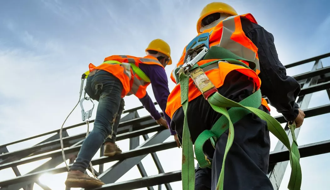 Agricultură, construcții, infrastructură rutieră. INFO economic - 1-1768909857.webp