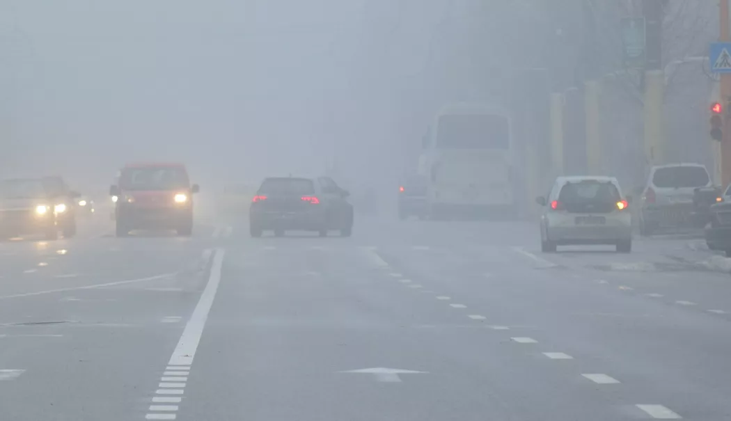 Meteo: Cod galben de ceață densă, în județele Constanța și Tulcea - 1-1769151385.webp