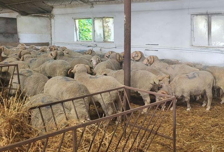 Energie, agricultură, piața spațiilor industriale. INFO economic - 1-1770729662.webp