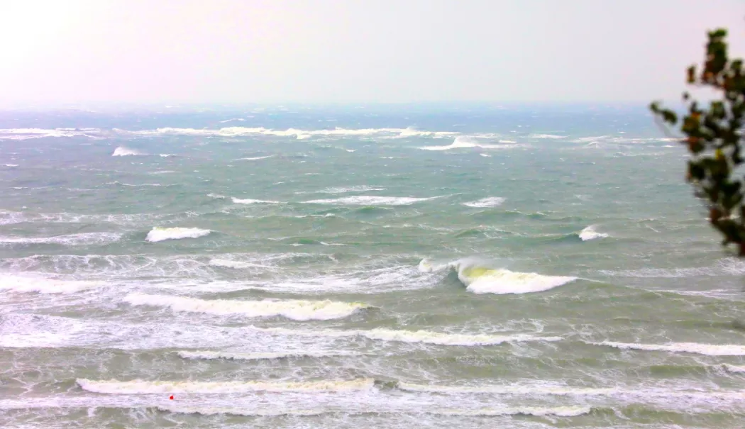 Meteorologii avertizează. Vânt puternic în Constanța, miercuri, 8 aprilie - 1-1775556986.webp