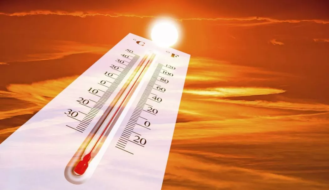 Temperaturi record și fenomene extreme în Europa. Canicula face deja victime - 1-1782024529.webp