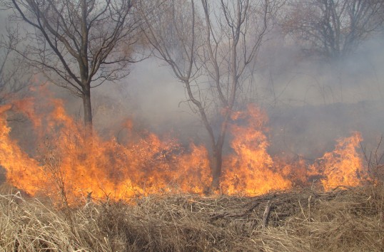 Incendii în județ - 100deincendiidevegetaienjudeular-1335779162.jpg