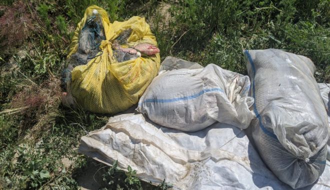100 kilograme de pește, confiscate de polițiștii de frontieră tulceni - 100kgdepeste1-1590600183.jpg