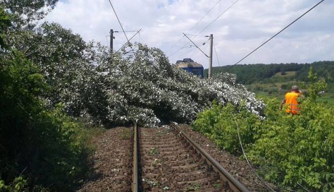 105 trenuri au fost întârziate de căderile  de copaci - 105tranuri-1521136225.jpg