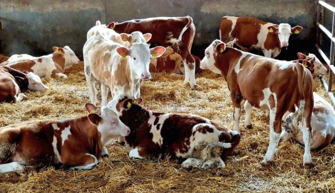 Agricultură: Fermierii pot accesa credite garantate de stat echivalente a „De 5 ori subvenţia” - 11-1692709414.jpg