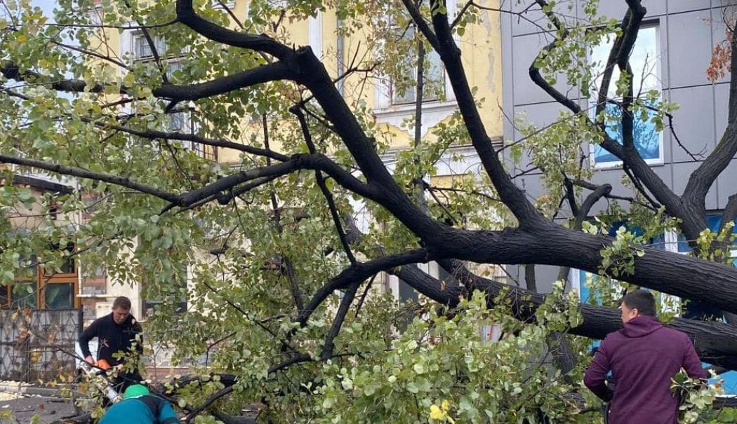 Asigurări: Peste 230 de daune avizate după furtunile de săptămâna trecută, din zona Dobrogei