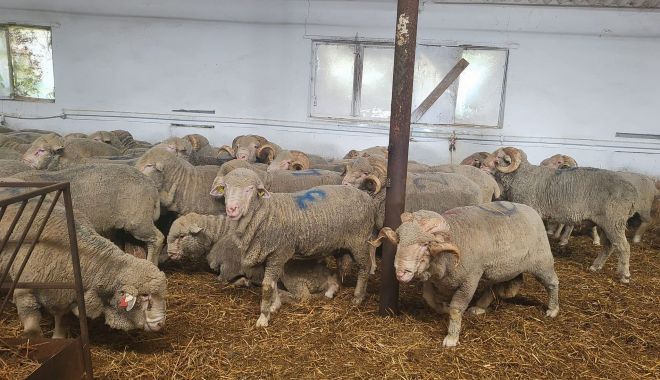 Energie, agricultură, banking. INFO economic - 11-1765457480.jpg
