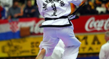 Taekwondo-show la 