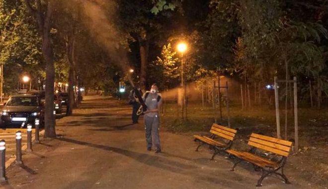 Se desfășoară acțiuni intensificate de dezinsecție în toate cartierele orașului - 11737714238353403431618046829235-1597244639.jpg