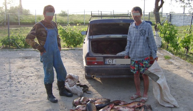 Captură de pește și plase ilegale, la Garda de Coastă - 13maitransporturipesteplasemonof-1336897960.jpg