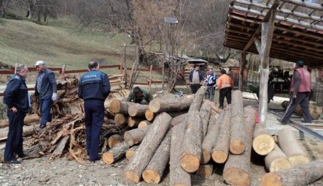 Tone de lemne, confiscate la graniță - 13noiembrietonelemne-1415902675.jpg