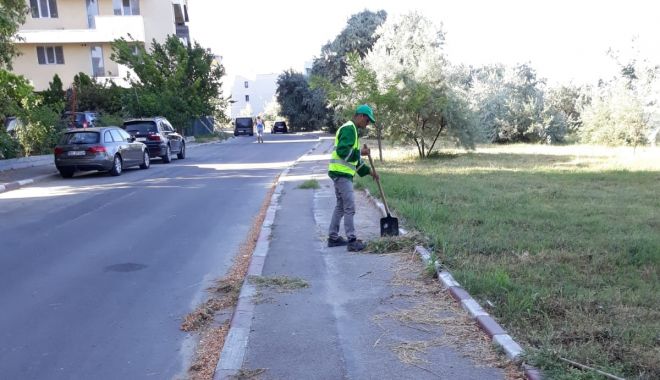 Apel de la Primăria Constanța: 