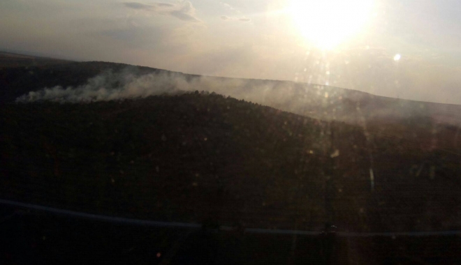 GALERIE FOTO-VIDEO / UPDATE. INCENDIU DEVASTATOR LA CRUCEA. Flăcările de 10 metri s-au răspândit în pădure - 14012618117735420228736411890255-1470931718.jpg
