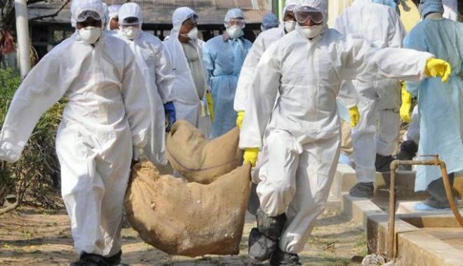 În alertă! Gripa aviară se extinde în principalele zone cu ferme avicole din Taiwan - 14171149217f75f211-1421059650.jpg