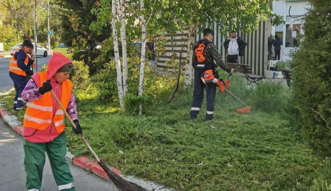Acţiuni intensificate, pentru întreţinerea spaţiilor verzi din municipiul Constanţa