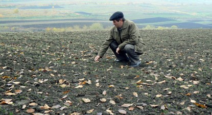 Fermierii constănțeni spun că fondurile structurale sunt irosite pe 