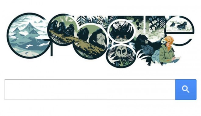 Logo Google, dedicat zoologului american Dian Fossey - 151239623555394329281813096391n-1389864098.jpg