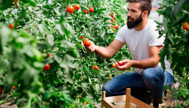 România nu se află printre ţările care vor atinge 25% în agricultura BIO - 1582295289ceinseamnaagriculturab-1627213491.jpg