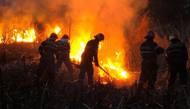 EROIC! 18 ORE DE LUPTĂ CU FOCUL, LA VADU! - 15octvaduincendiu-1602744768.jpg