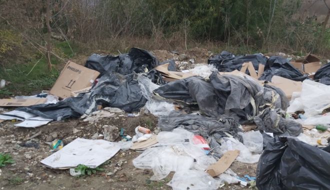 Amenzi pe bandă rulantă, date de Poliția Locală Constanța. Ce nereguli au constatat oamenii legii - 16-1574774665.jpg