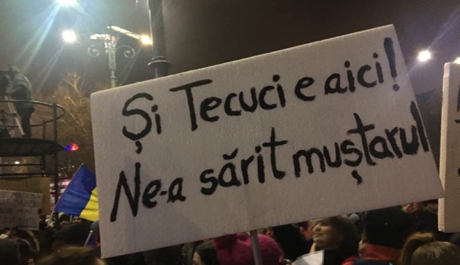 Criticul de artă Pavel Șușară vrea să facă o expoziție cu pancartele de la proteste - 16473948102080881004178381224699-1486393371.jpg