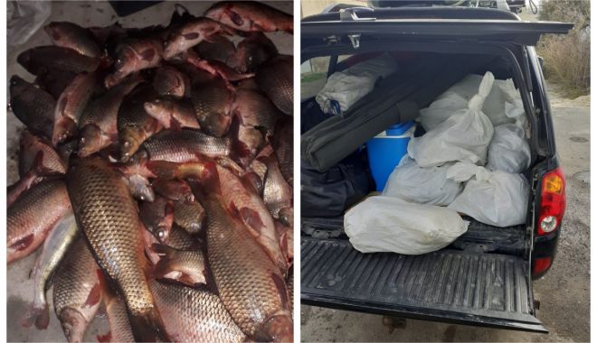 Zeci de kilograme de pește, confiscate de Garda de Coastă - 16novpestegarda-1605513388.jpg