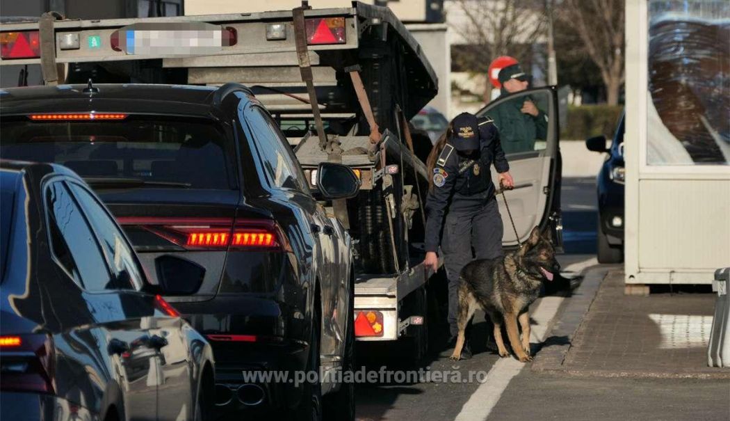 Rezultate înregistrate la frontieră în ultimele 24 de ore - 1733208515229cainegiurgiupuncts4-1733212003.jpg