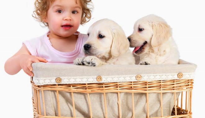 Ajută copilul să accepte pierderea animalului drag - 17iananimalcompanie-1389976297.jpg
