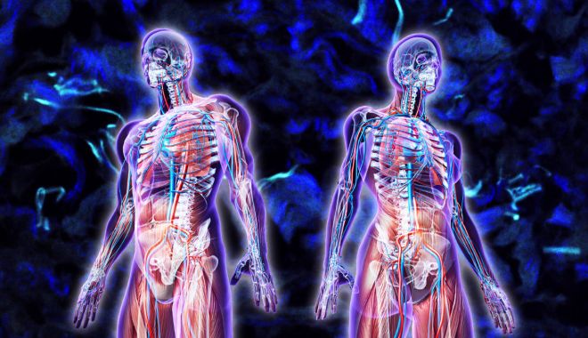 DESCOPERIRE ISTORICĂ! UN NOU ORGAN ÎN CORPUL UMAN! - 180326basuorganledexc1lxz-1522241287.jpg