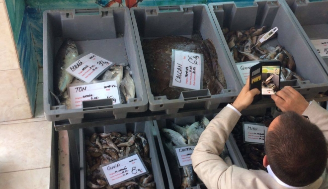 FOTO-VIDEO. Ați cumpărat pește din Piața Griviței? E JALE CE A GĂSIT OPC-ul! - 19126041135840174424655977198702-1497350192.jpg