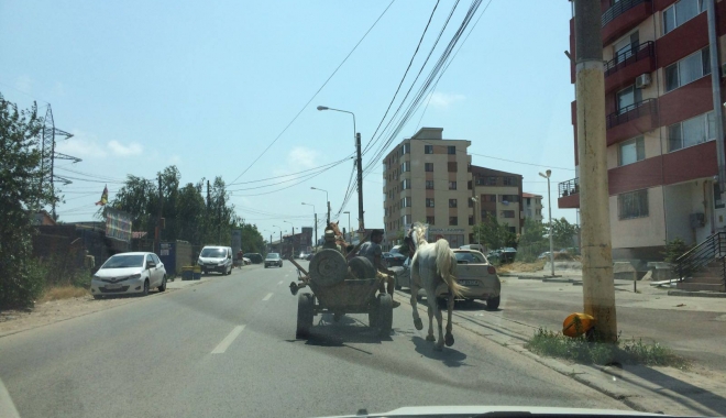 CÂT SĂ MAI ÎNDURĂM AȘA CEVA? DE CE ARATĂ ÎN ASEMENEA HAL CONSTANȚA ANULUI 2017? - 19619532137564122918927712508009-1498726309.jpg
